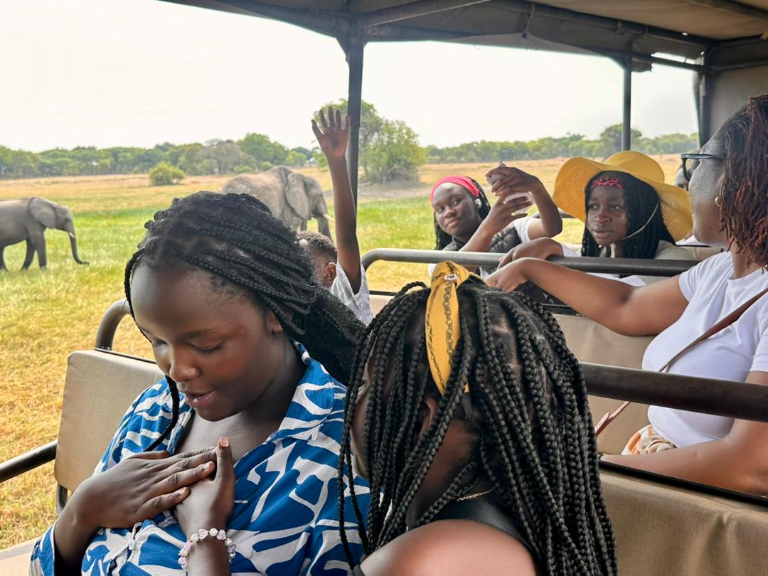 Elephant encounter on a school excursion